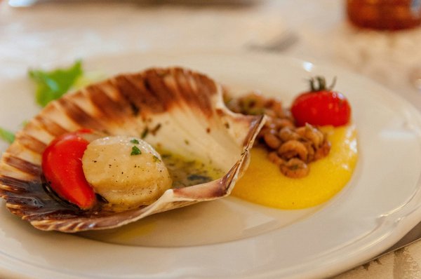What's the best way to prepare and cook scallops?
